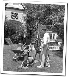 Walt Disney and General Salvage Chief for California Joseph F. MacCaughtry collecting metal lawn ornaments off Disney's lawn for war effort, August 14, 1942